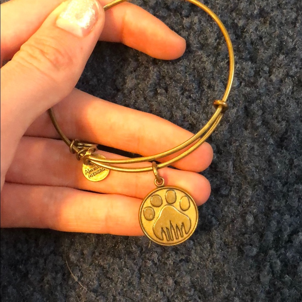 Alex and Ani bracelet